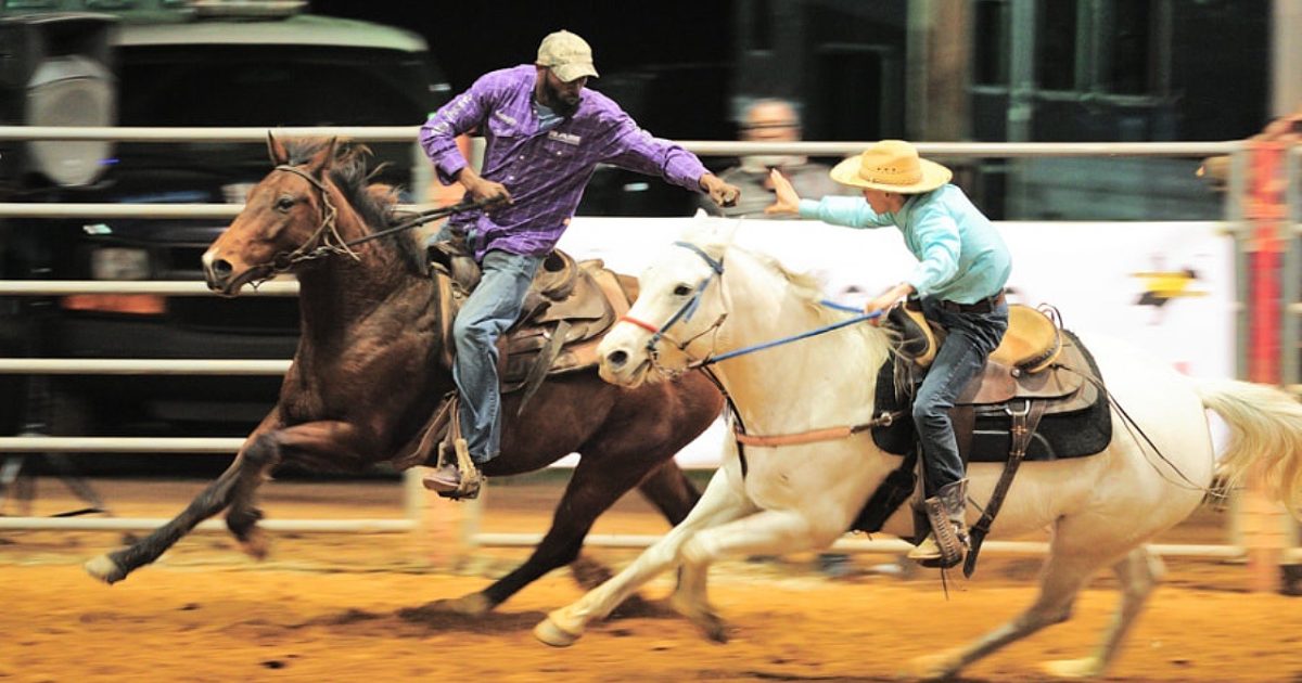 Rodeo jackson ms