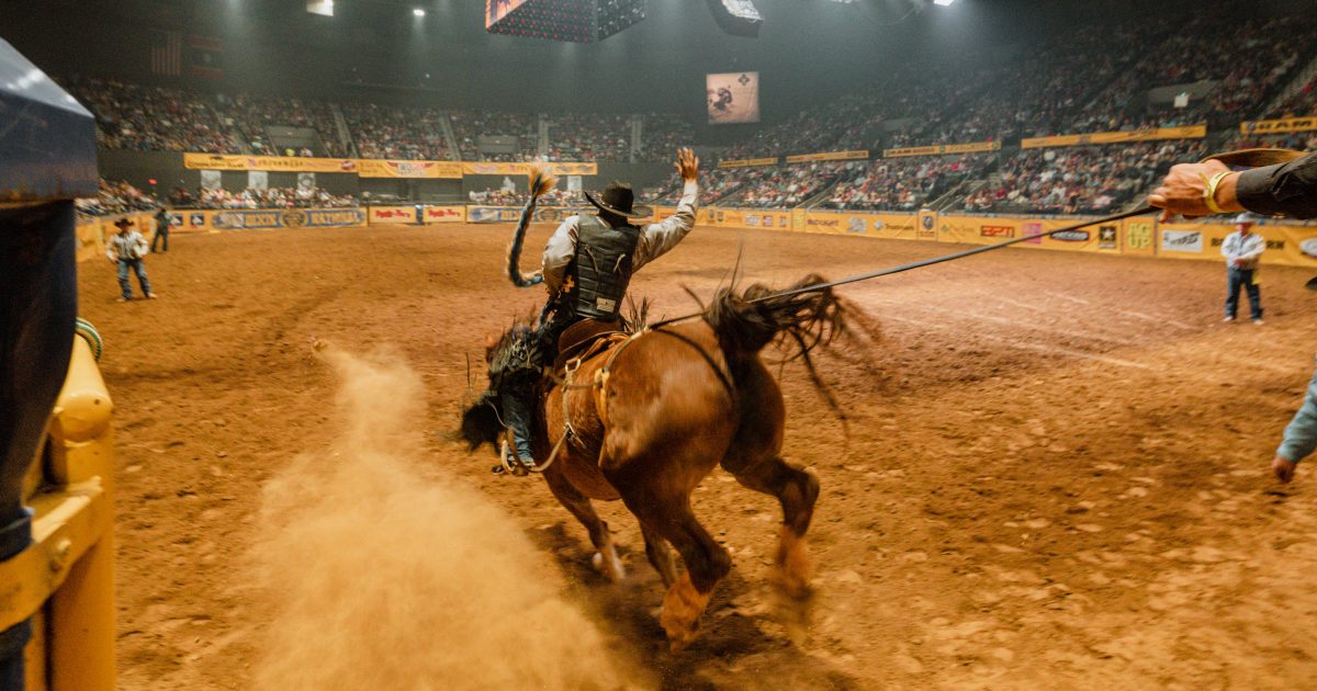 Dixie National Rodeo | Visit Jackson